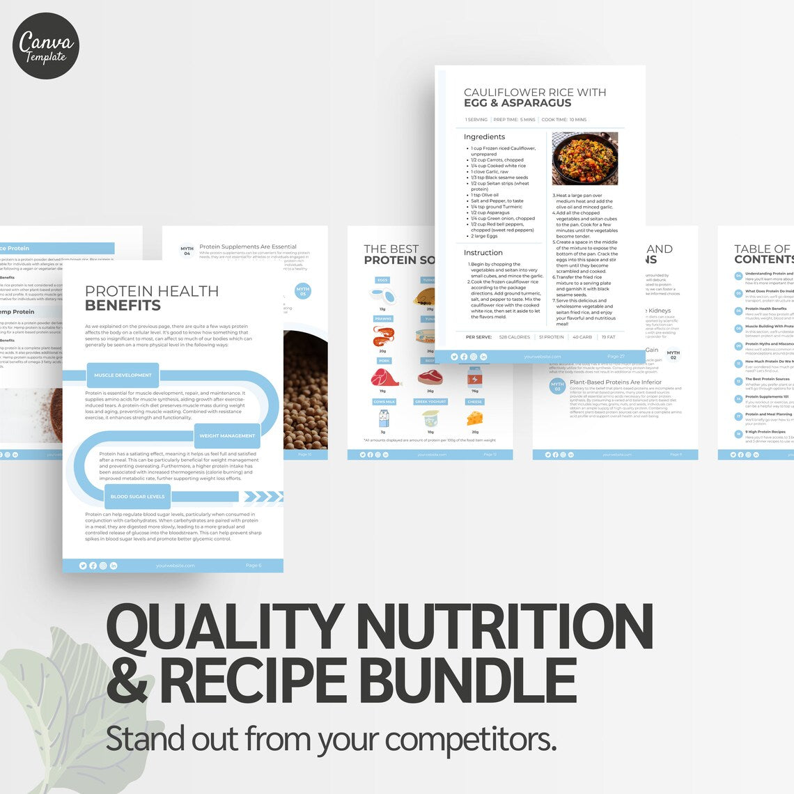 Fitness Coach Resource – Ready-to-Use Protein Nutrition eBook (Canva Editable)