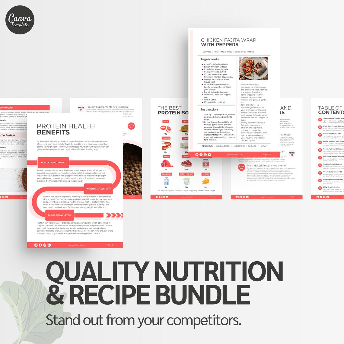 Customizable Protein eBook Template – Meal Planning & Nutrition Canva Guide