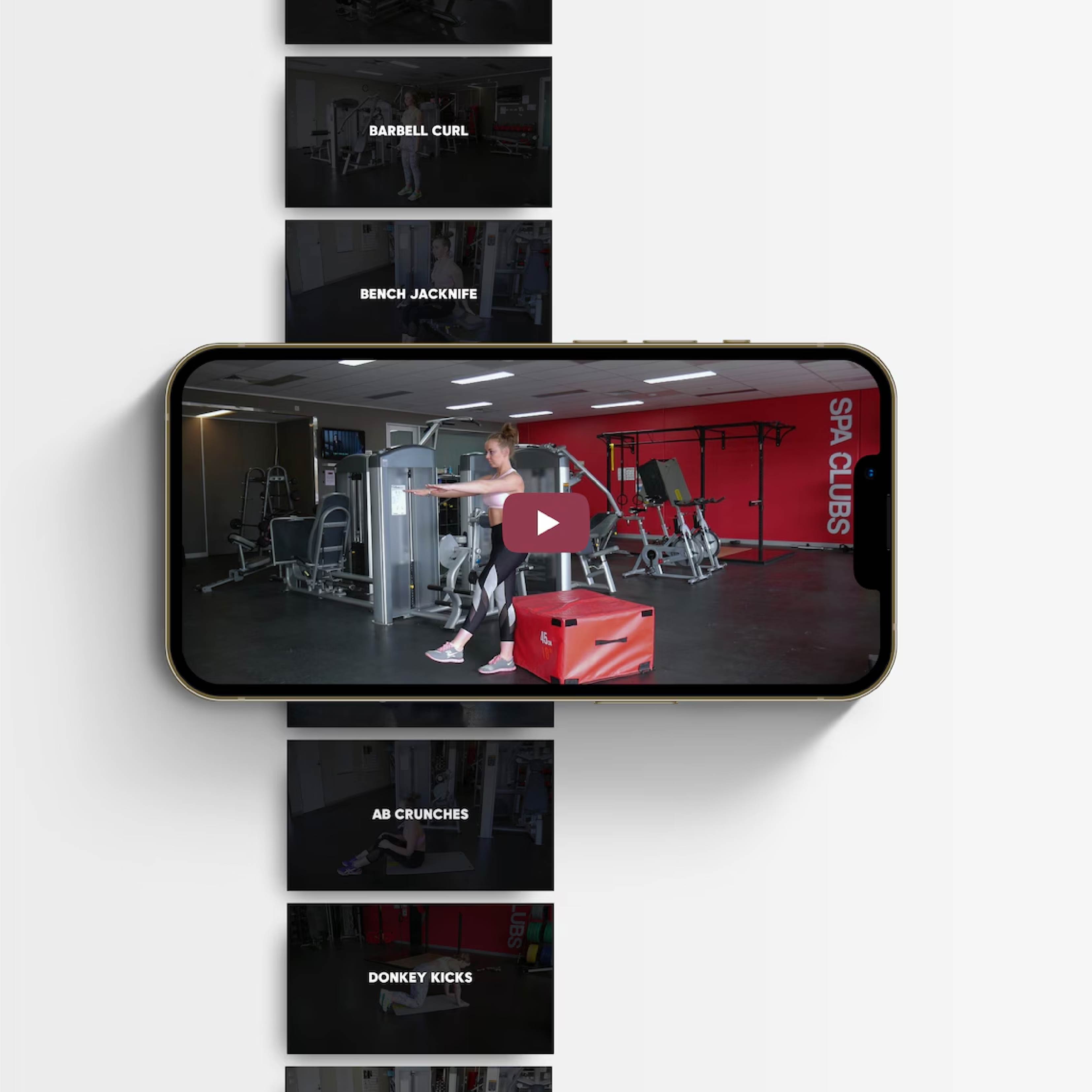 The Fitness Stall – 257 Professional Exercise Videos